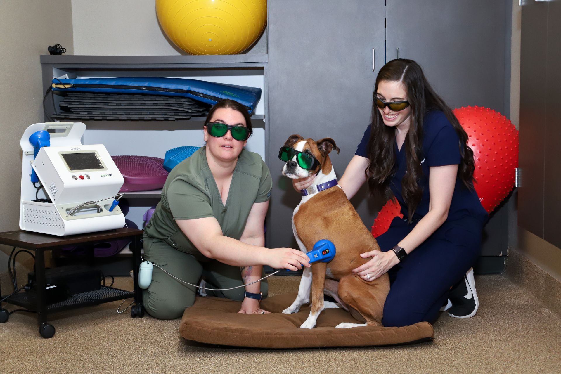 Vets wearing sunglasses and holding a dog